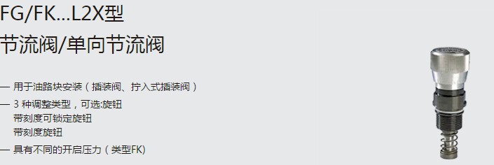 SHLIXIN上海立新FG/FK...L2X型節(jié)流閥/單向節(jié)流閥